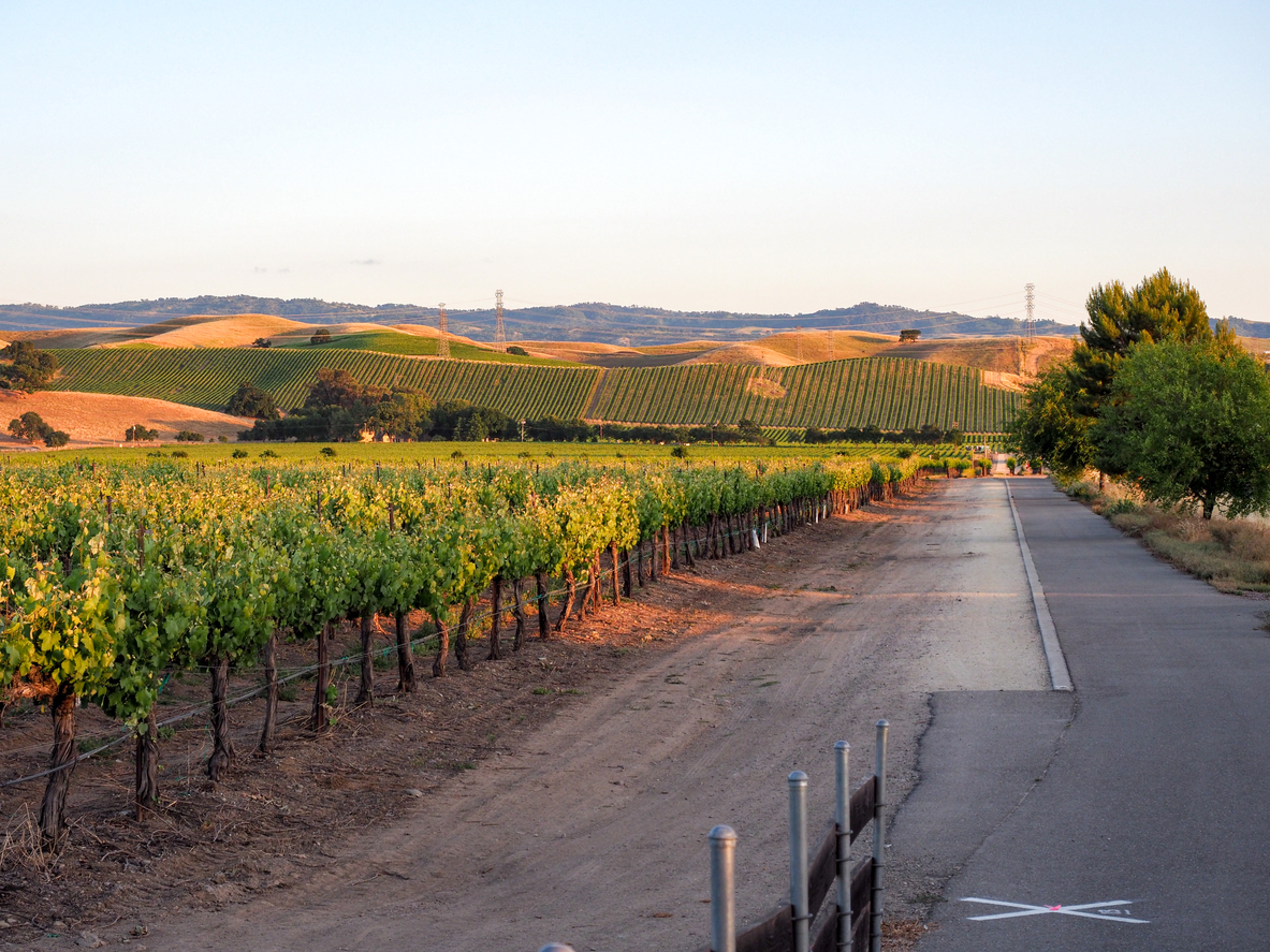 Panoramic Image of Livermore, CA